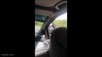 Video: Người đàn ông 