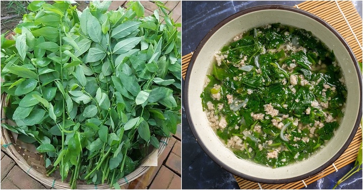 Đừng nên ăn rau ngót nếu bạn là một trong những nhóm người này