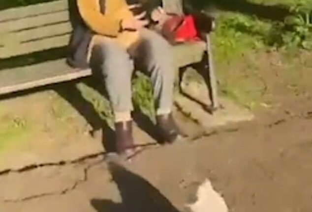 Nam thanh niên 18 tuổi bị bắt vì theo trend lạ để nổi tiếng trên TikTok