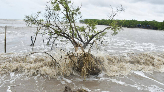 Cà Mau công bố tình huống khẩn cấp sạt lở bờ biển
