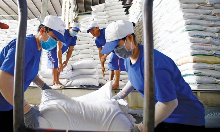 Bộ Công Thương chỉ đạo hỏa tốc trước việc Ấn Độ cấm xuất khẩu gạo