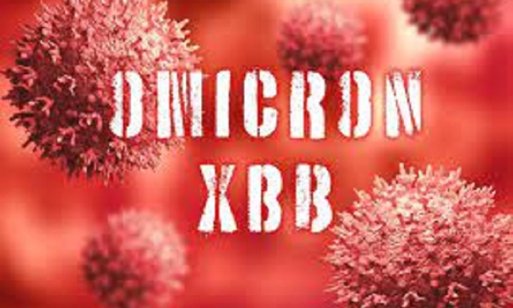 Hà Nội: Ghi nhận biến thể phụ XBB.1.9.1 của COVID-19