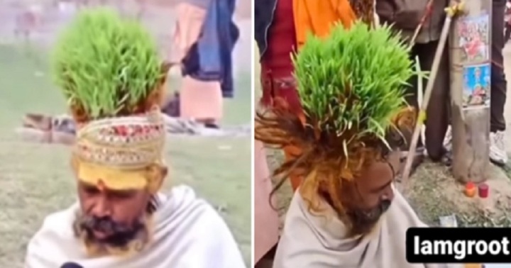Hy hữu: Người đàn ông trồng cỏ trên đầu, lấy tóc làm phân bón