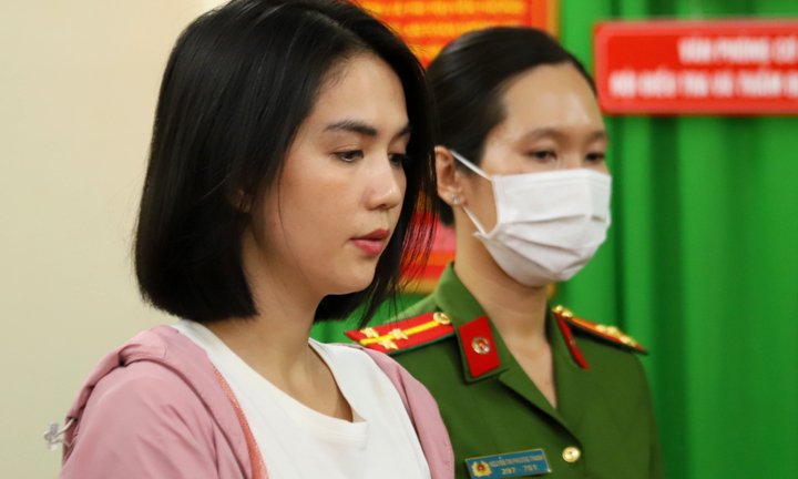 Ngọc Trinh bị khởi tố về tội danh gì?