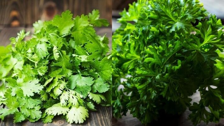 Đừng ăn rau mùi nếu bạn là một trong những nhóm người này