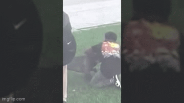 Chó Bully hung dữ lao lên xe buýt tấn công nhiều học sinh