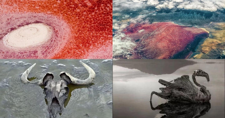 Hồ đáng sợ nhất thế giới: Nước hồ đỏ như máu, động vật sẽ hóa đá khi gặp nước hồ