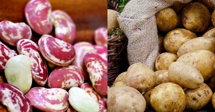 Những “sát thủ” thầm lặng trong căn bếp của bạn, cần lưu ý kẻo “rước họa vào thân”