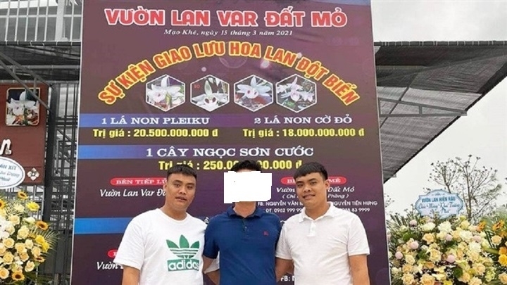 Tin tức pháp luật ngày 28/8: Hai anh em 