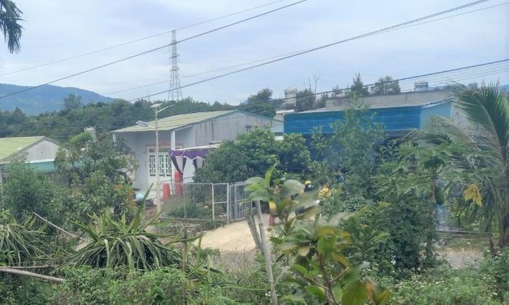 Vụ vợ bị chồng sát hại trong lúc ngủ: Nghi phạm bị bắt ở đâu?