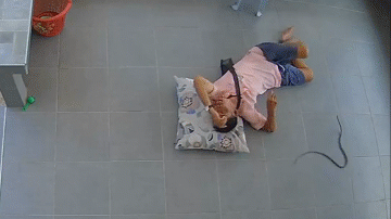 Video: Đang tận hưởng giấc ngủ trưa, người đàn ông hoảng hốt vì con vật bò từ ngoài sân vào nhà