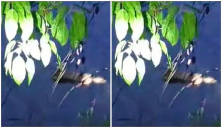 Vụ thi thể thanh niên trên sông ở Thừa Thiên - Huế: Nhân chứng tại hiện trường nói gì?