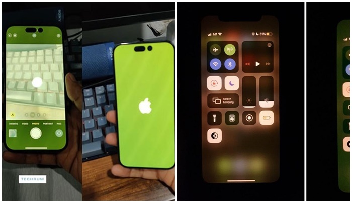 Từ háo hức thành
