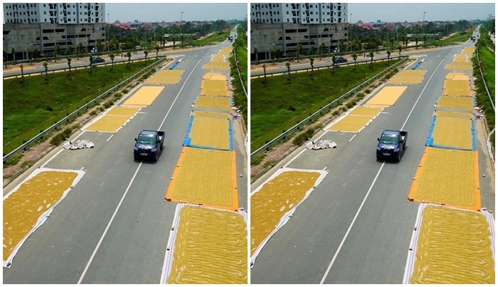 Vụ nữ sinh tử vong vì đống thóc phơi giữa đường: 