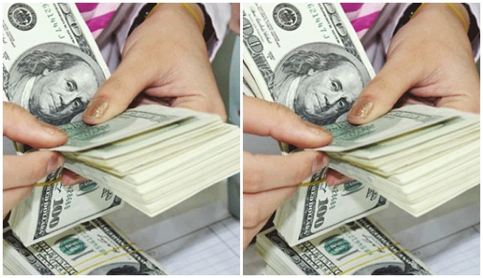 Tỷ giá USD hôm nay 22/11: Tiếp đà giảm