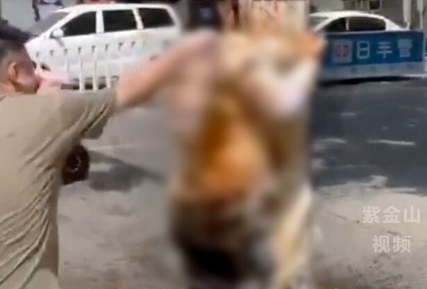 Chú rể tơi tả vì bị trói vào cây, xịt xi đánh giày và ném đậu phụ ngay giữa phố