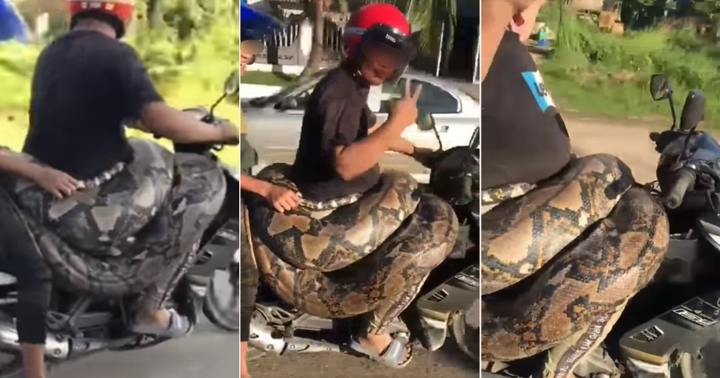 Hai người đàn ông vui vẻ đèo “bé na” 200kg trên đường khiến dân tình náo loạn, sự thực gây bất ngờ