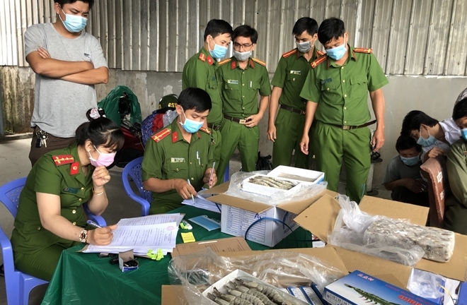 Phát hiện xe container vận chuyển hơn 12.500 kg tôm chứa tạp chất