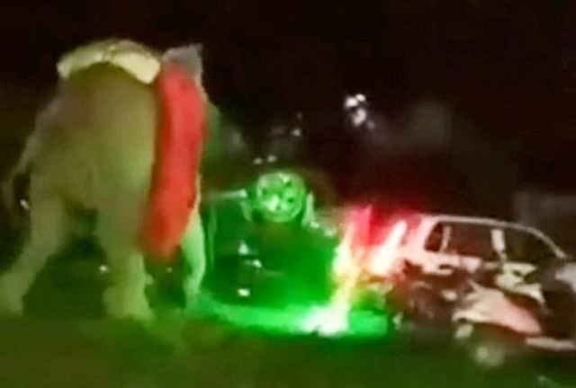 Chú rể chơi lớn cưỡi voi đi đón dâu, không ngờ gặp sự cố đáng sợ làm ai nấy bỏ chạy tán loạn