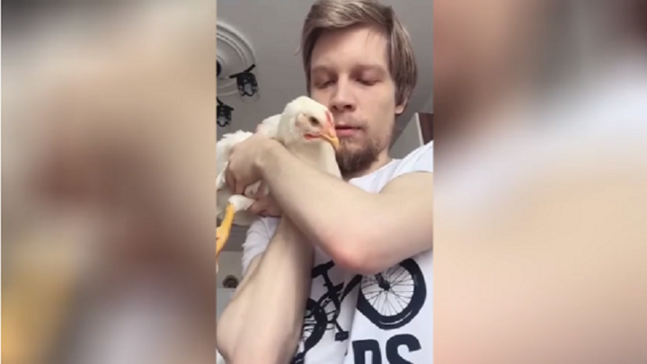 Tin tức đời sống ngày 30/6: Chàng trai khiến “cõi mạng” dậy sóng vì khoe thú cưng siêu độc