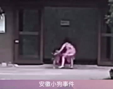 Chó cưng tấn công trẻ hàng xóm, chủ không xin lỗi còn tuyên bố một câu khiến dân tình “dậy sóng”