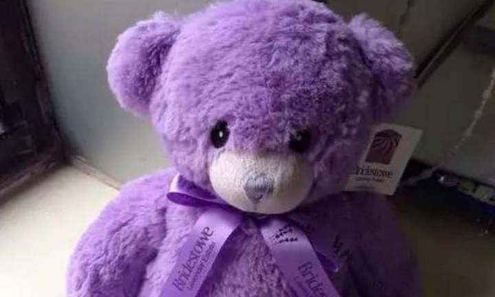 Gấu bông bỗng bốc mùi kỳ lạ, đôi vợ chồng rạch ra xem thử, tái mét mặt khi thấy thứ lúc nhúc ở trong