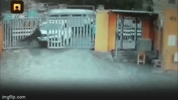 Video: Đạp nhầm chân ga, nữ tài xế húc bay bảo vệ trường học