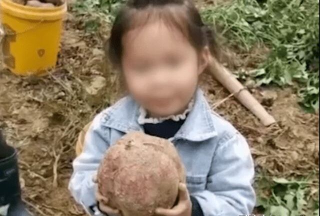 Bé 4 tuổi bị sát hại khi đi chơi với ông bà, danh tính kẻ thủ ác khiến cả nhà đau đớn khóc nghẹn