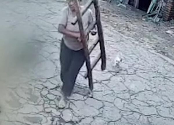 Bà mẹ ngày nào cũng bắc thang lau camera, tưởng là người “cuồng sạch sẽ” nhưng sự thực gây xúc động 