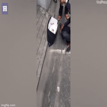 Tài xế tò mò mở thùng mở thùng xốp bị vứt ven đường, vội vàng hô hoán khi thấy thứ bên trong