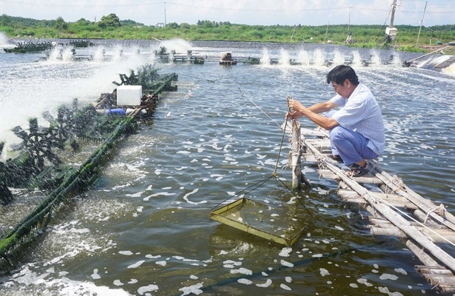 “Gót chân A-sin” và điều Bộ trưởng muốn ngành nông nghiệp thức tỉnh