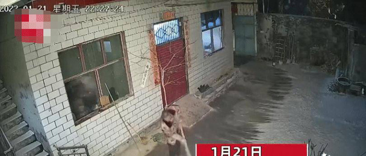 Lái xe xuyên đêm về quê ăn Tết, con trai xúc động rơi nước mắt vì hành động của bố