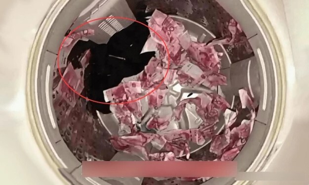 Mở nắp máy giặt kiểm tra, vợ ngỡ ngàng khi thấy thứ bất ngờ rơi ra từ quần của chồng