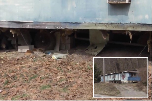 Người phụ nữ liên tục ngửi thấy mùi lạ trong nhà, lý do hãi hùng được tiết lộ sau 5 năm