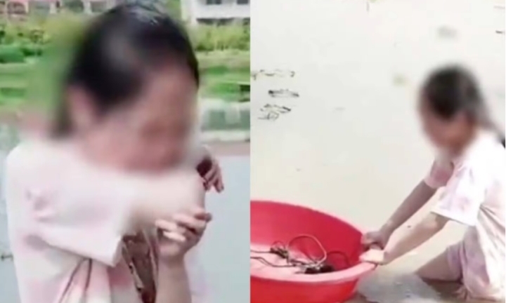 Con gái 11 tuổi muốn bỏ học, cách xử lý của ông bố khiến dân tình chia phe tranh cãi