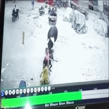 Video: Bé trai 5 tuổi bị bò hoang tấn công, hất văng lên không trung