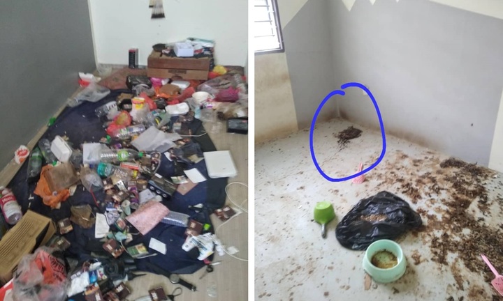 Khách thuê viện đủ cớ không cho đến kiểm tra nhà, chủ trọ choáng váng khi biết sự thật