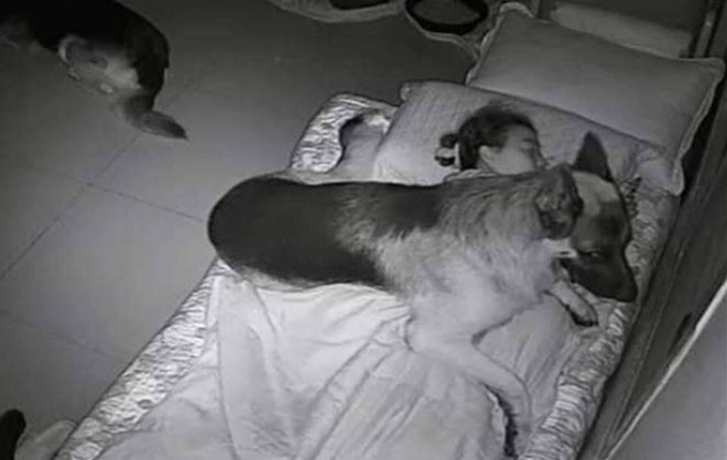 Đêm ngủ thường khó thở, gặp ác mộng, cô gái lắp camera thì phát hiện điều không ai ngờ