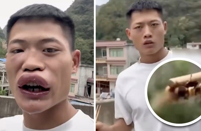 Tin tức đời sống ngày 11/9: Thanh niên bị chỉ trích vì đăng video ăn ong bắp cày còn sống