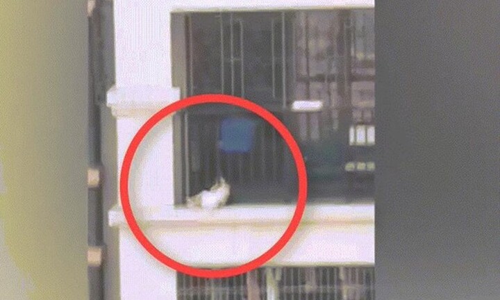 Chàng trai bất chấp nguy hiểm cứu em bé bị kẹt đầu ở lan can ban công tầng 7