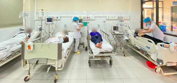 Hơn 10 người nhập viện cấp cứu sau khi bị hàng nghìn con ong khoái bay đến tấn công
