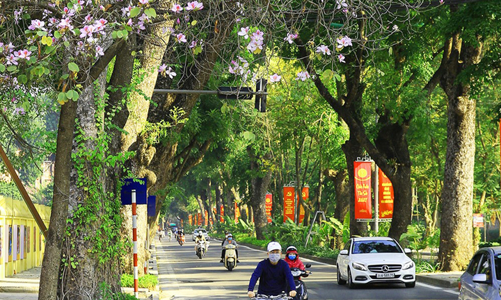 Tin tức dự báo thời tiết hôm nay 27/2: Miền Bắc trời rét, ngày nắng, đêm không mưa