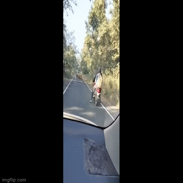 Video: Đang chạy bon bon, hai thanh niên vội lùi xe vì bị “chúa tể sơn lâm” chặn đầu