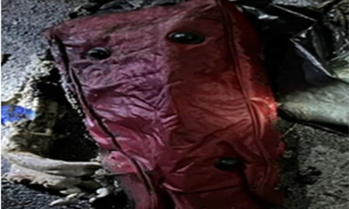 Vụ tay, chân người bị đốt cháy đựng trong túi xách: Công an tiếp tục xác minh danh tính nạn nhân