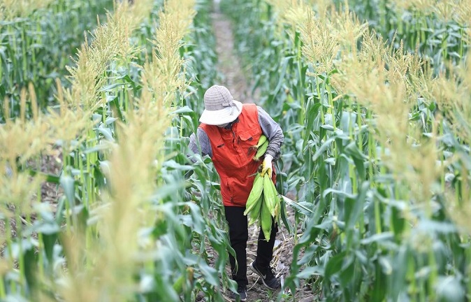 Nơi nào tại Hàn Quốc quy định 45 tuổi vẫn thuộc nhóm dân số trẻ?