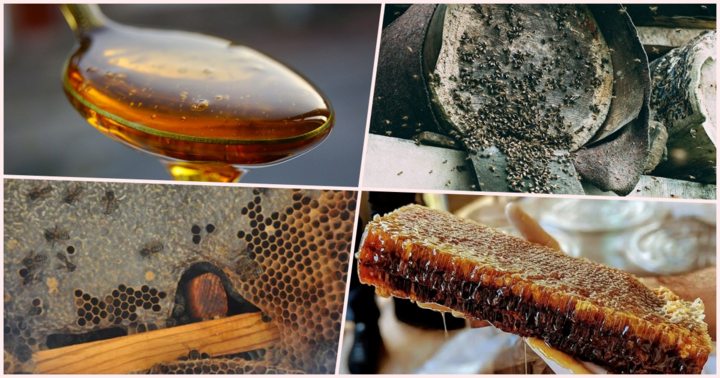 Loại mật ong chỉ có ở Thổ Nhĩ Kỳ, giá hơn 160 triệu đồng/kg