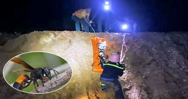 Bị ong đất đuổi đốt, người phụ nữ ngã tử vong ở vách núi Bà Hỏa