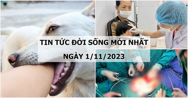 Tin tức đời sống mới nhất ngày 1/11: Xót xa bé gái bị 4 con chó tấn công khi cùng bố đến chỗ làm