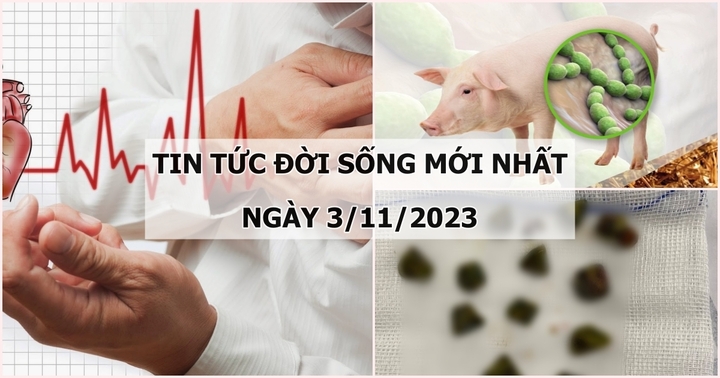 Tin tức đời sống mới nhất ngày 3/11: Căn bệnh khiến khoảng 200.000 người Việt tử vong mỗi năm