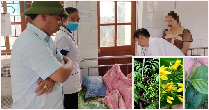 Nghệ An: Kịp thời cứu sống học sinh 11 tuổi ăn lá ngón tự tử